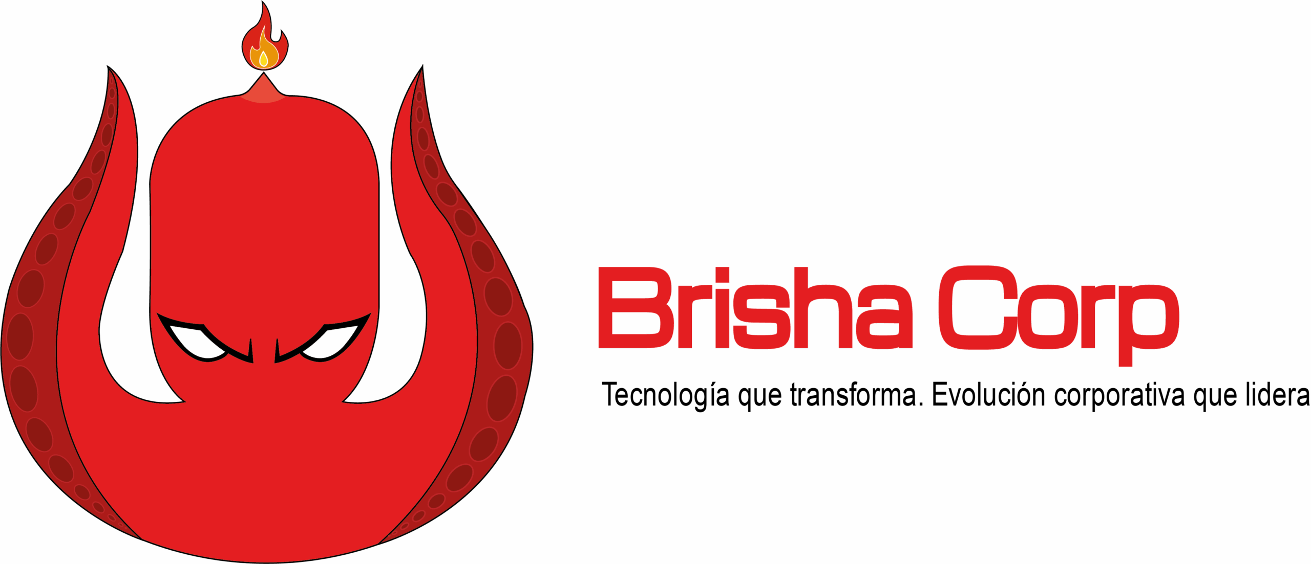 Brisha Corp logo web black